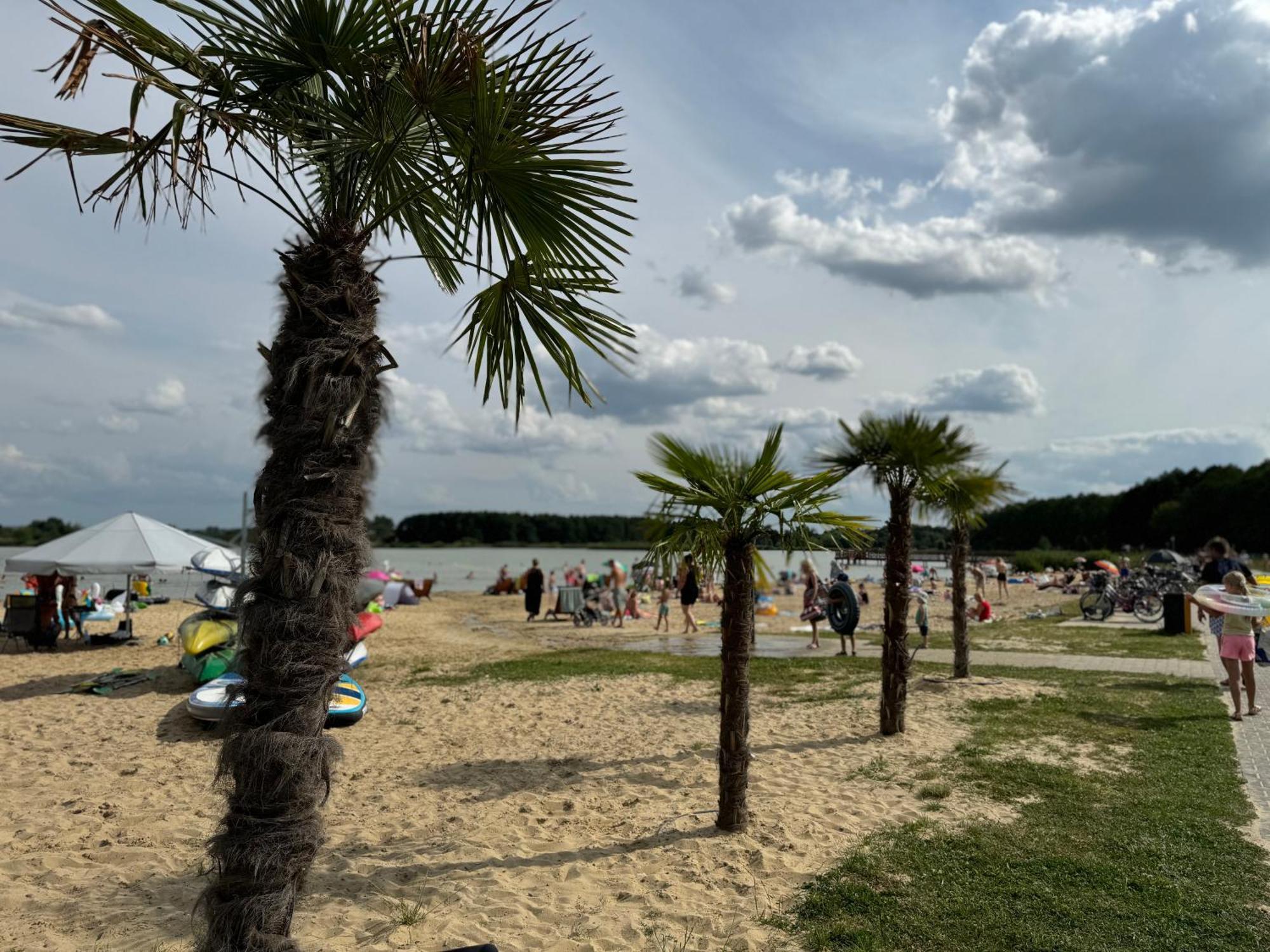 Apartament Nad Zalewem Zamość Exteriér fotografie